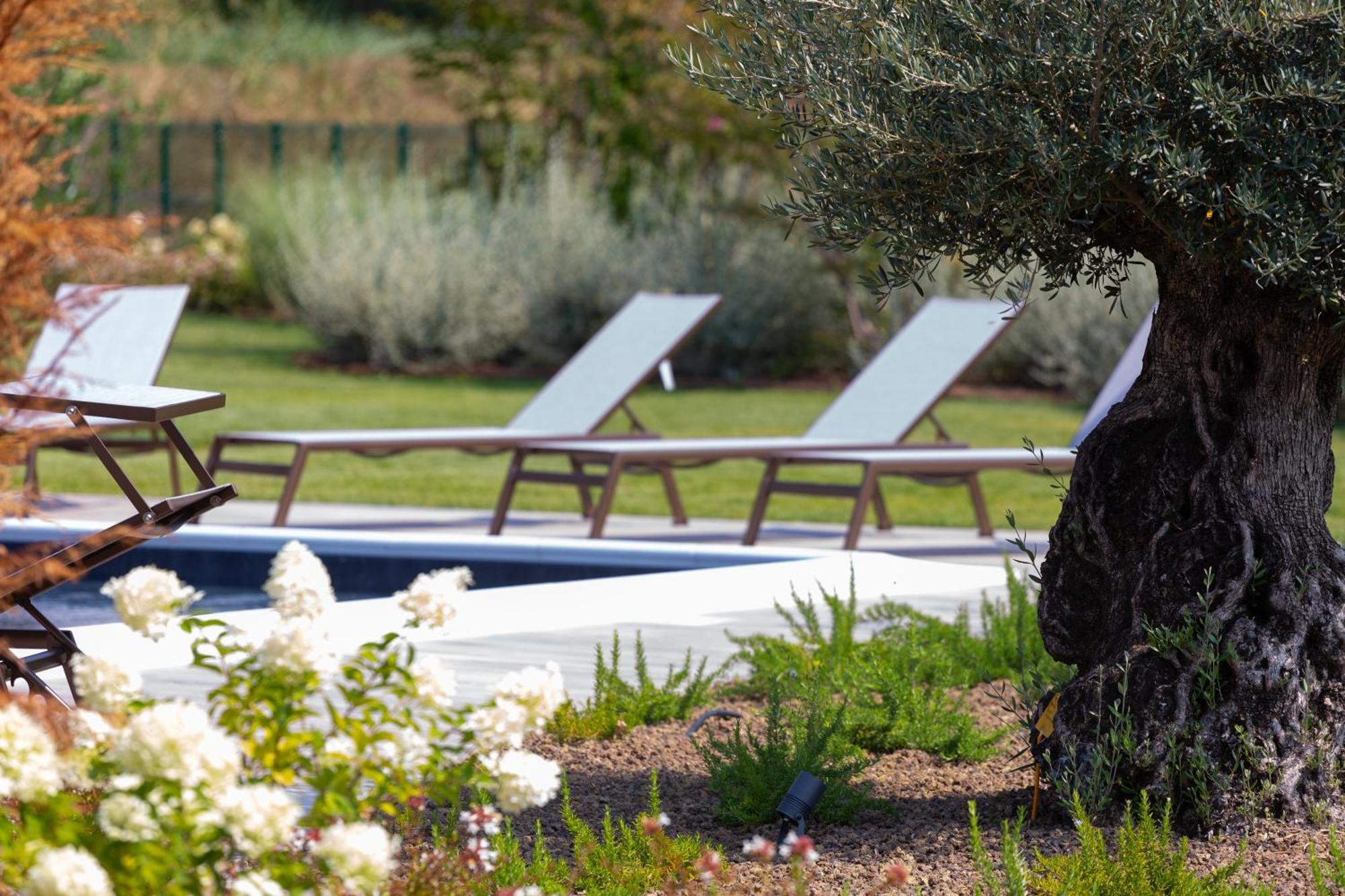Casa Massaro Todeschini Aparthotel Abano Terme Bagian luar foto
