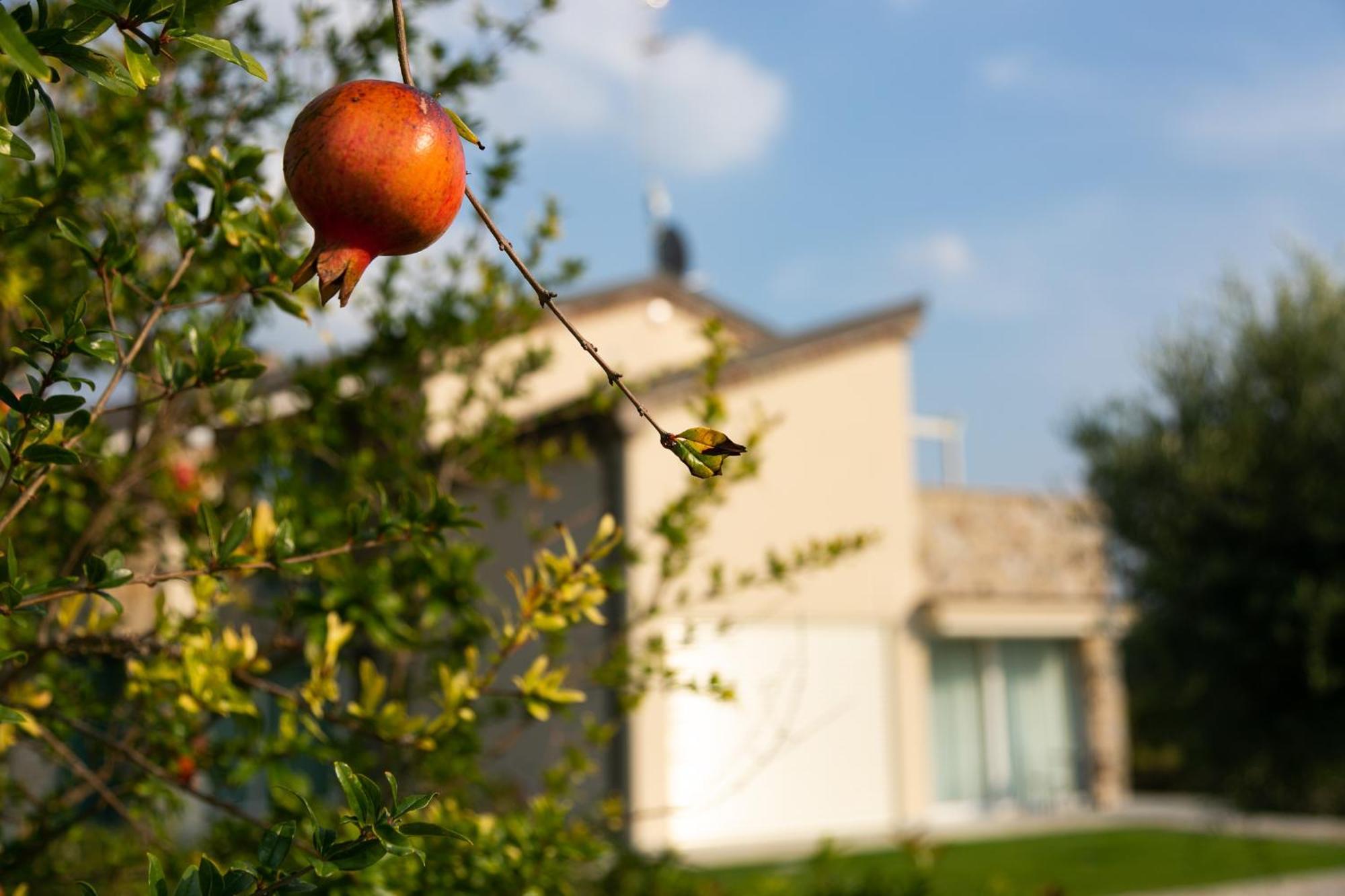Casa Massaro Todeschini Aparthotel Abano Terme Bagian luar foto