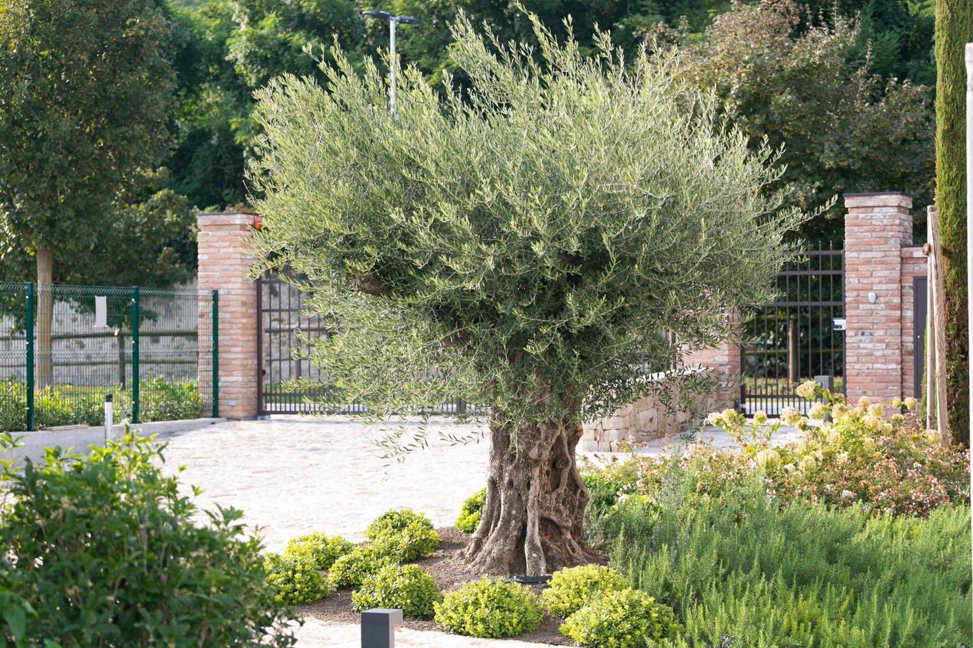 Casa Massaro Todeschini Aparthotel Abano Terme Bagian luar foto